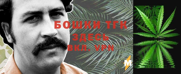 стафф Аркадак