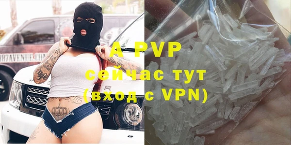 стафф Аркадак