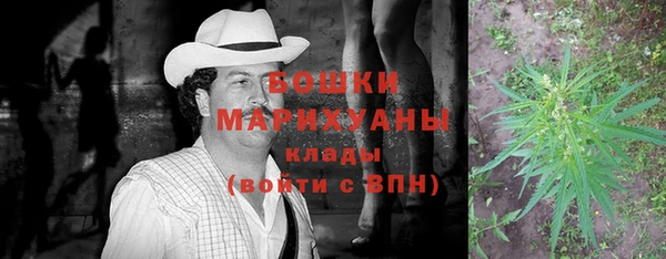 стафф Аркадак